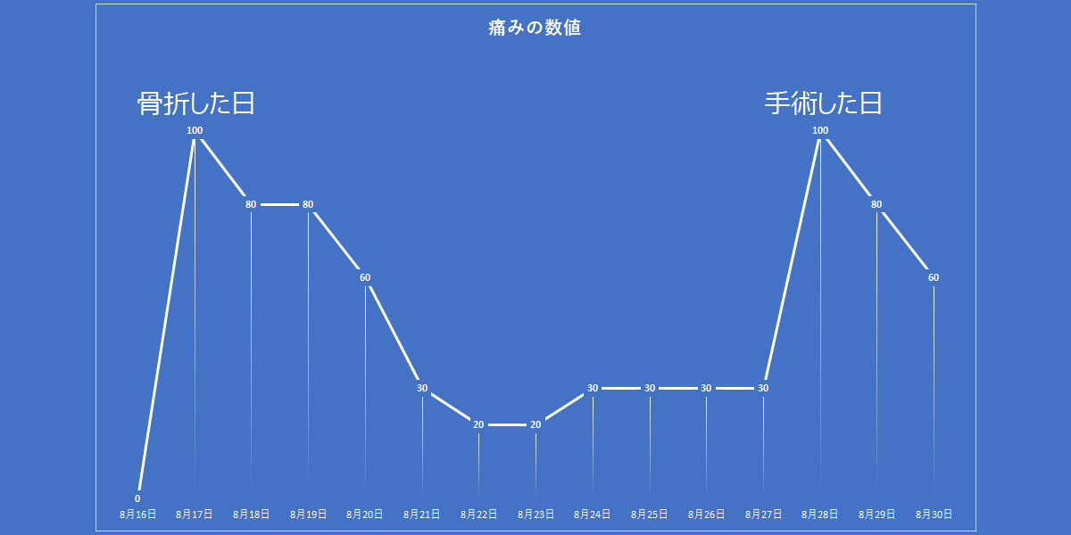 手術後の痛みは、最低最悪！観血的整復手術（ORIF）