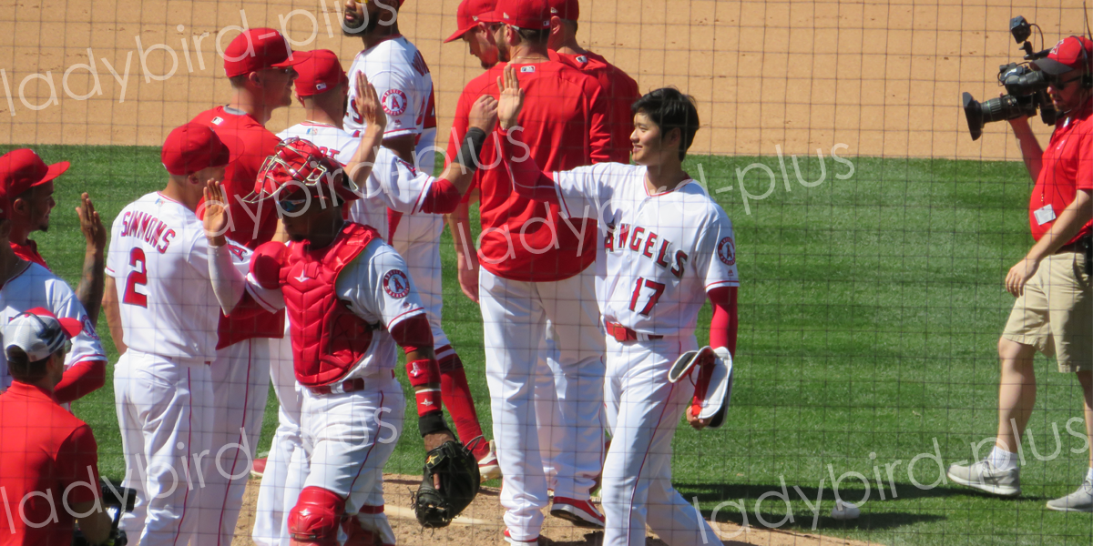 エンゼルス　大谷翔平